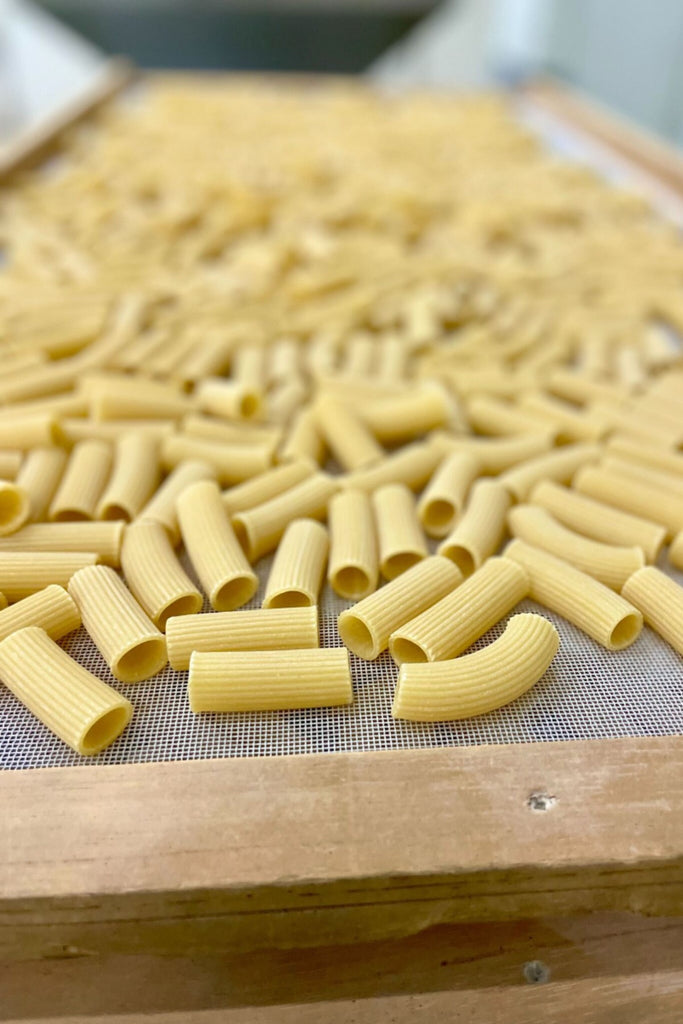 Giadzy pasta made with Semolina