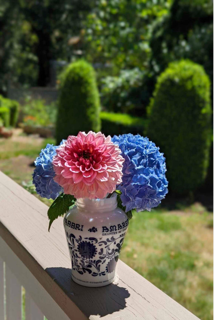 Amarena cherry container as a vase