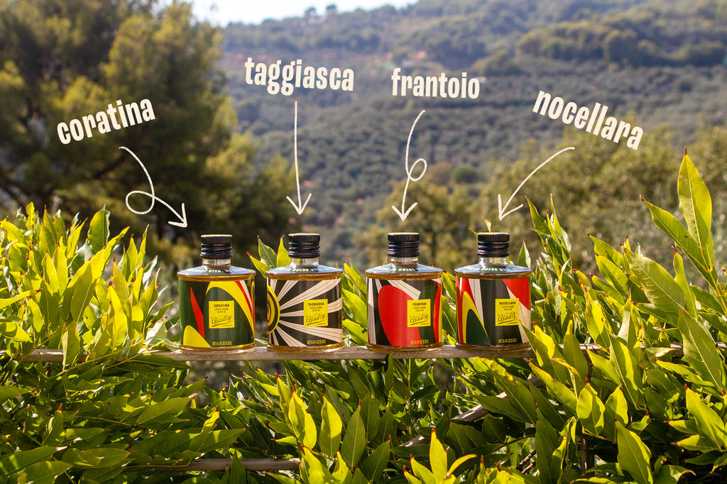 olive oil tour