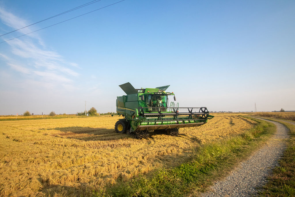 tractor on rice farm