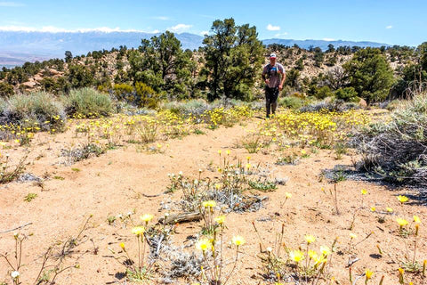 Hiker on Druid Trail