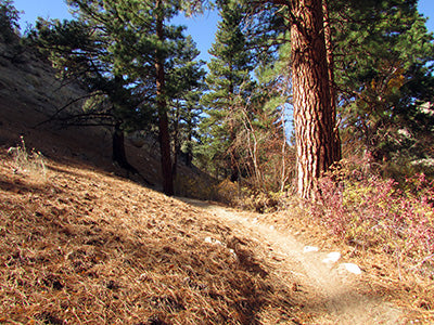 Lower rock creek trail