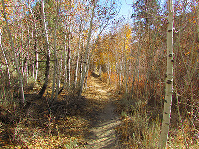 Lower rock creek trail