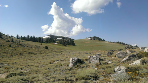 Mountain scape with field trees and clouds