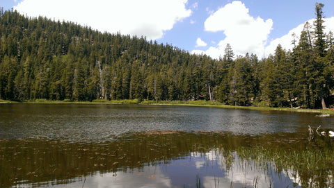 Mountain scape with lake trees and clouds