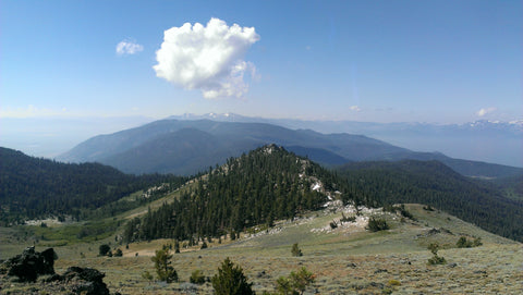 Mountain scape with field trees and clouds