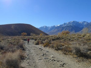 A photo of the Red Mountain Cinder trail