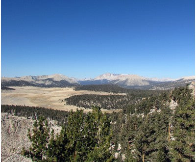 Picture of Horseshoe Meadow