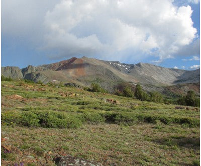 Photo of the mountains