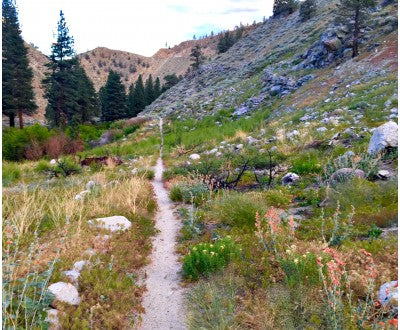 Lower Rock Creek Trail