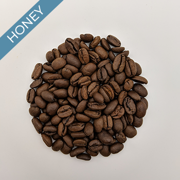 Clusters Coffee Honey Processed Robusta 