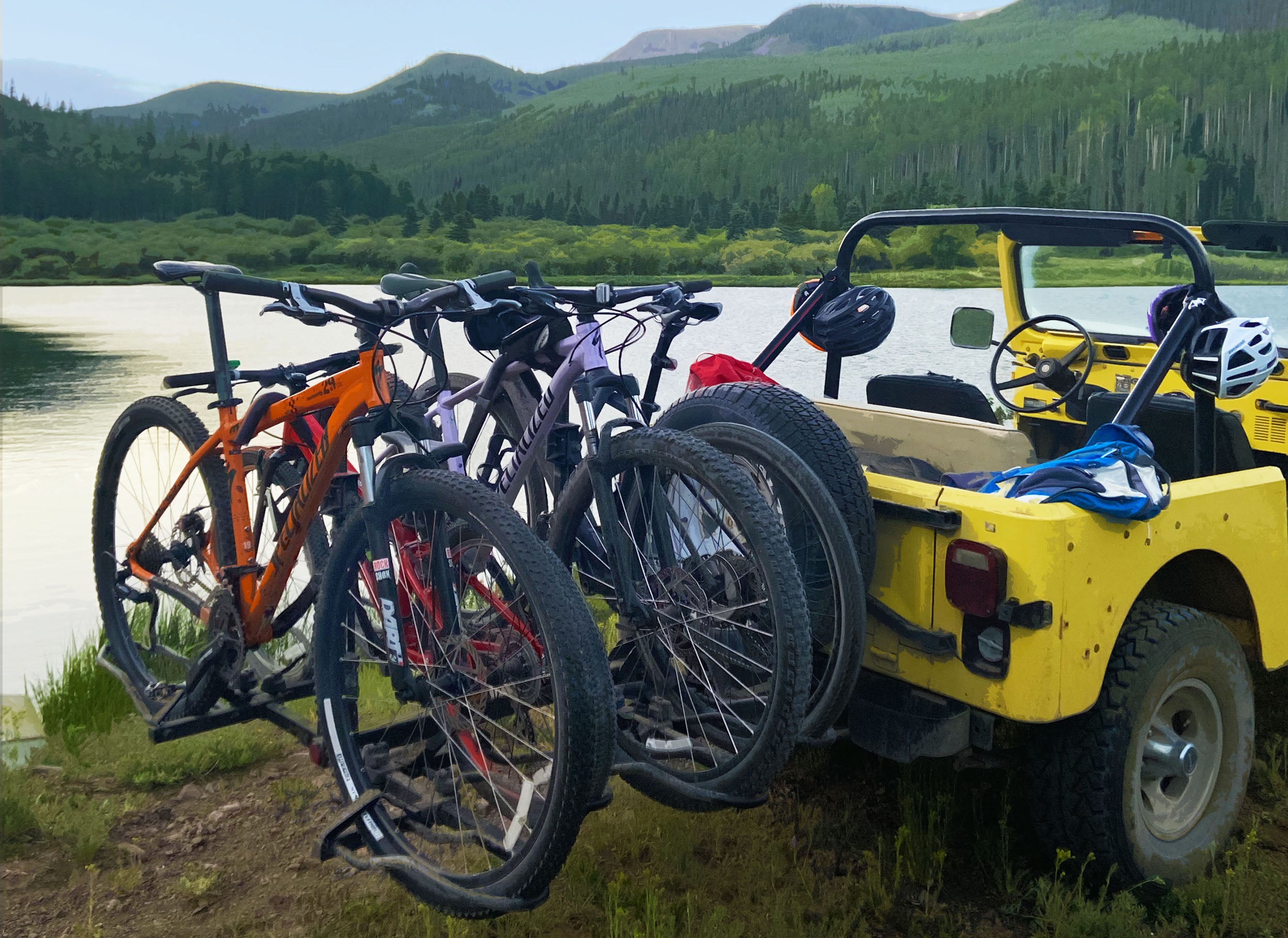 fat tire ebike rack