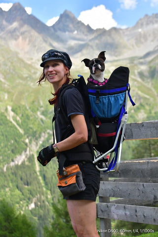 best dog carrier backpack for hiking