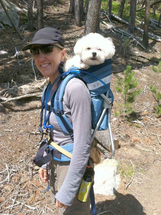 COLT DOG PERCH BACKPACK (Up to 10 lbs)