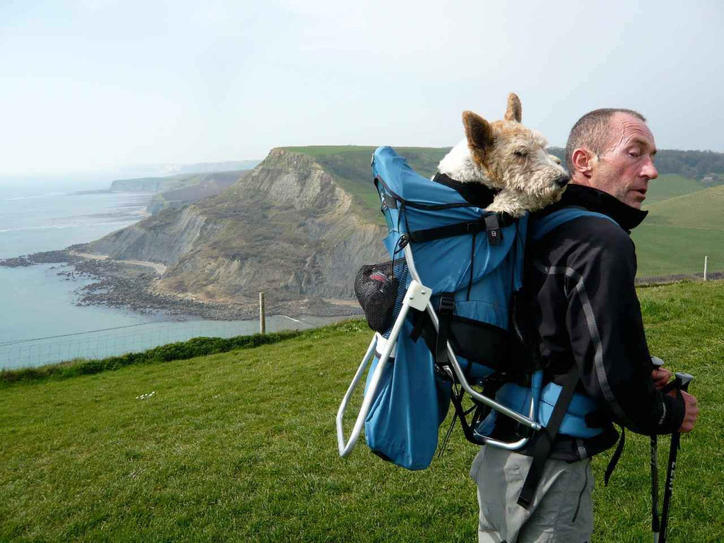 doe alstublieft niet Gevangenisstraf gehandicapt The Top Dog Carrier Backpack for Hiking | Up to 30 lbs | Tough Traveler