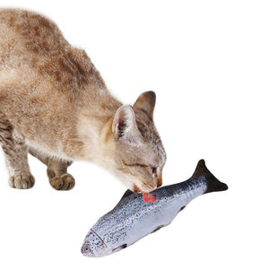 Plush Fish Catnip Toy