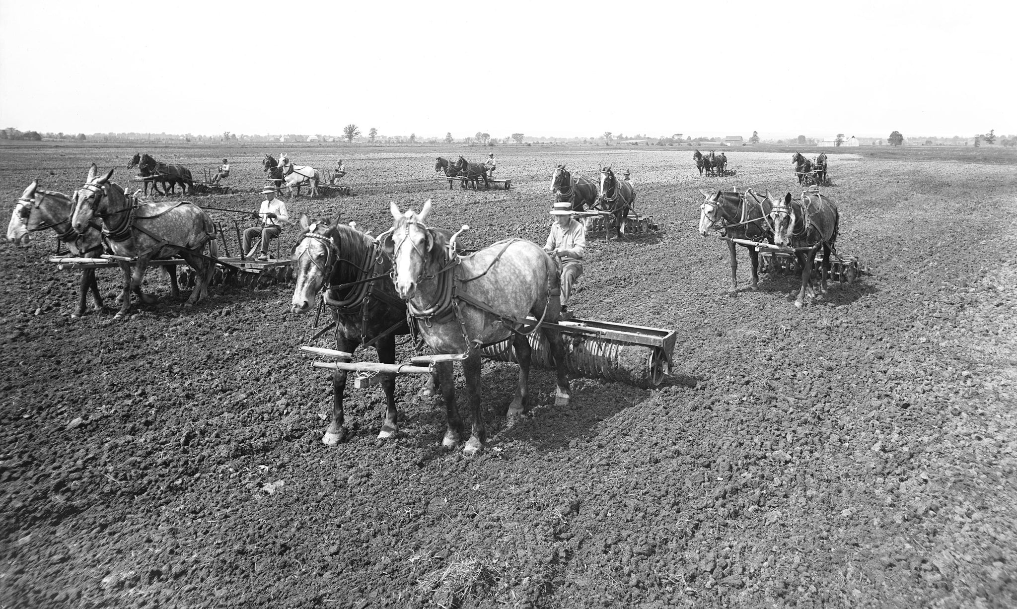 Teams working the fields at Heart’s Delight Farm, circa 1915. -- Courtesy Miner Institute