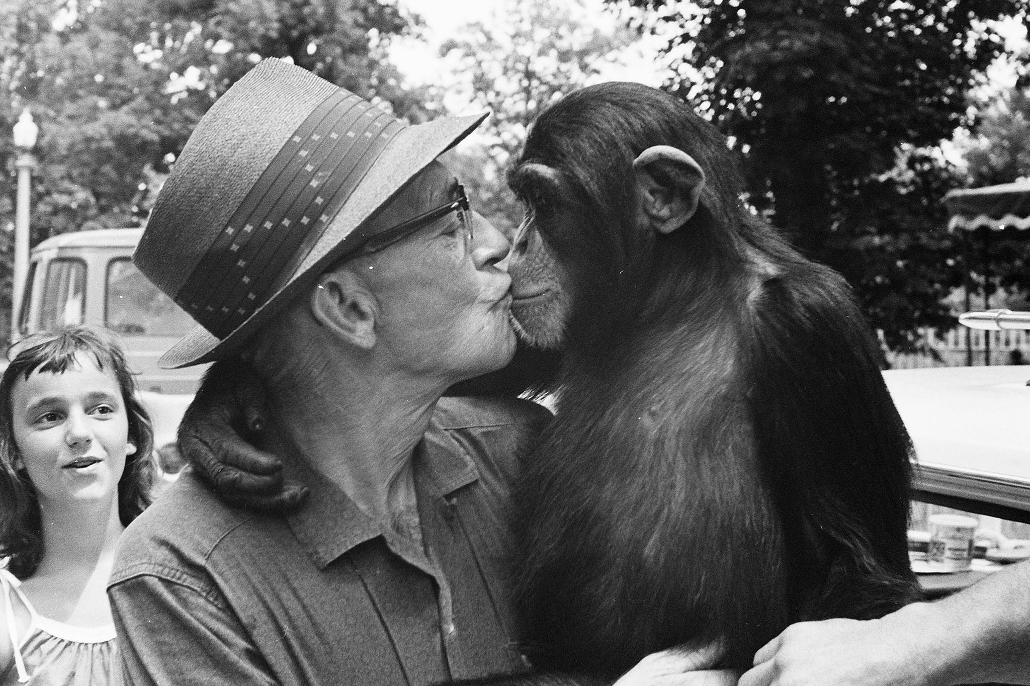 A man and chimpanzee at Weed Park Zoo, 1965. -- Muscatine Journal