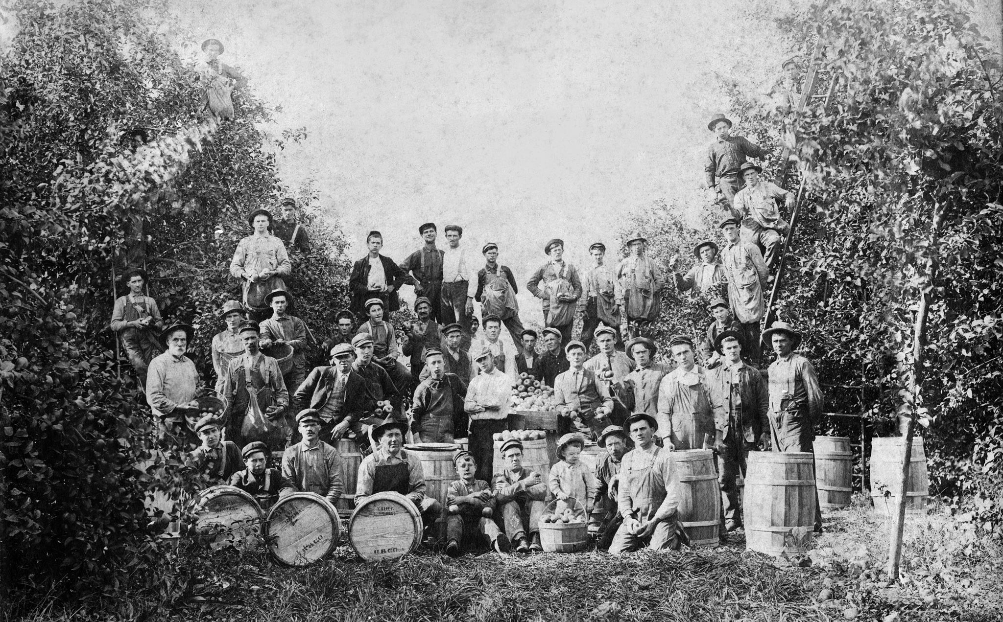 Orchard workers on the J.N. Thatcher Farm and Orchard, 1912. -- Courtesy Karen Thatcher