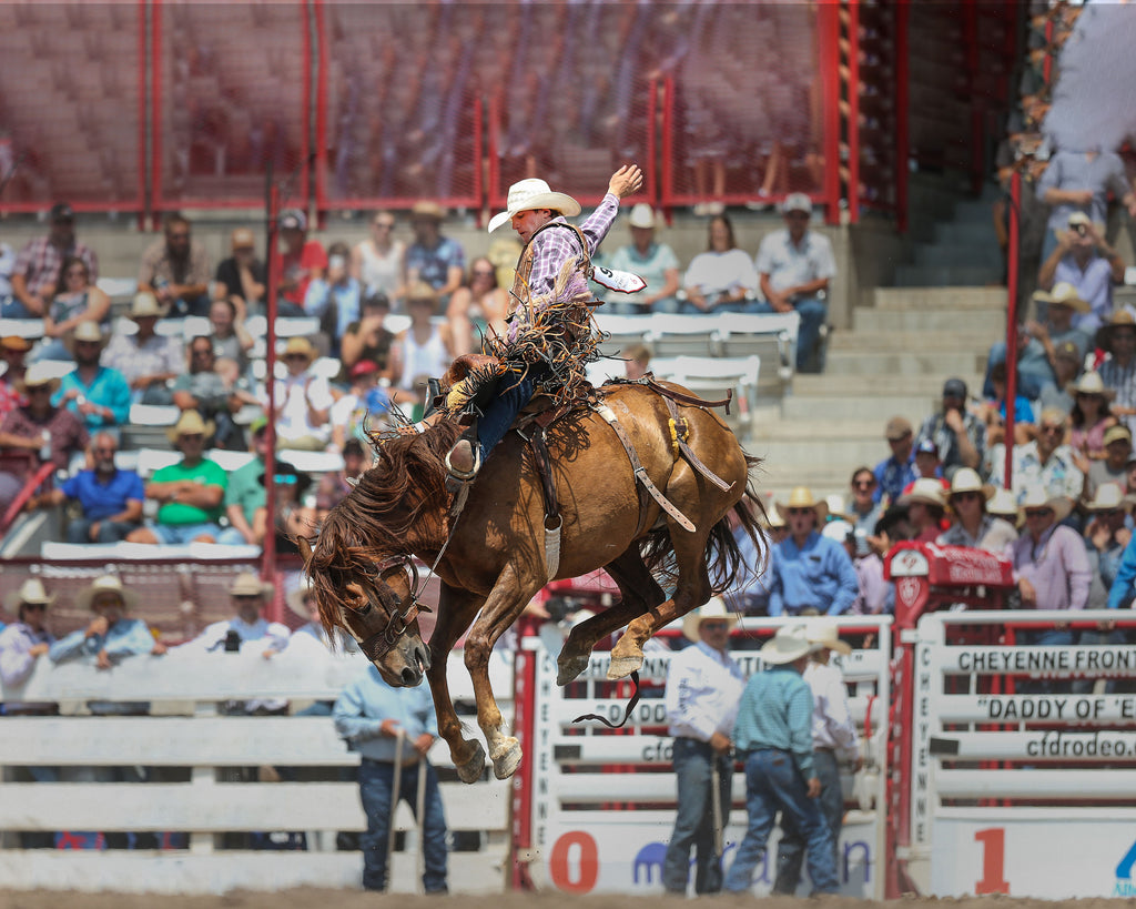 The cover image, courtesy of Wyoming Tribune Eagle, shows Tegan Smith of Winterset, Iowa, competing in saddle bronc riding during the 125th anniversary Cheyenne Frontier Days Rodeo, July 25, 2021, at Frontier Park Arena in Cheyenne. Smith received a score of 86.5 for the ride.