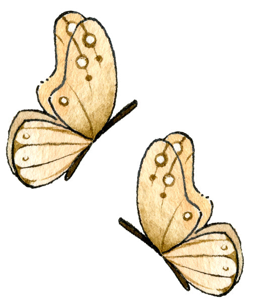 Two Butterflies