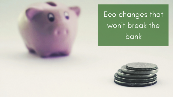Piggy bank and money with message "Eco changes that won't break the bank" 
