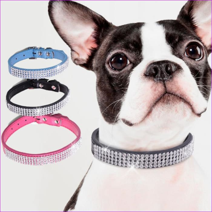 sparkly dog collar