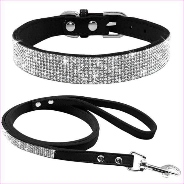 dog collars and leads for small dogs