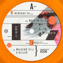 Load image into Gallery viewer, THE BREEDERS - ALL NERVE ( 12&quot; RECORD )