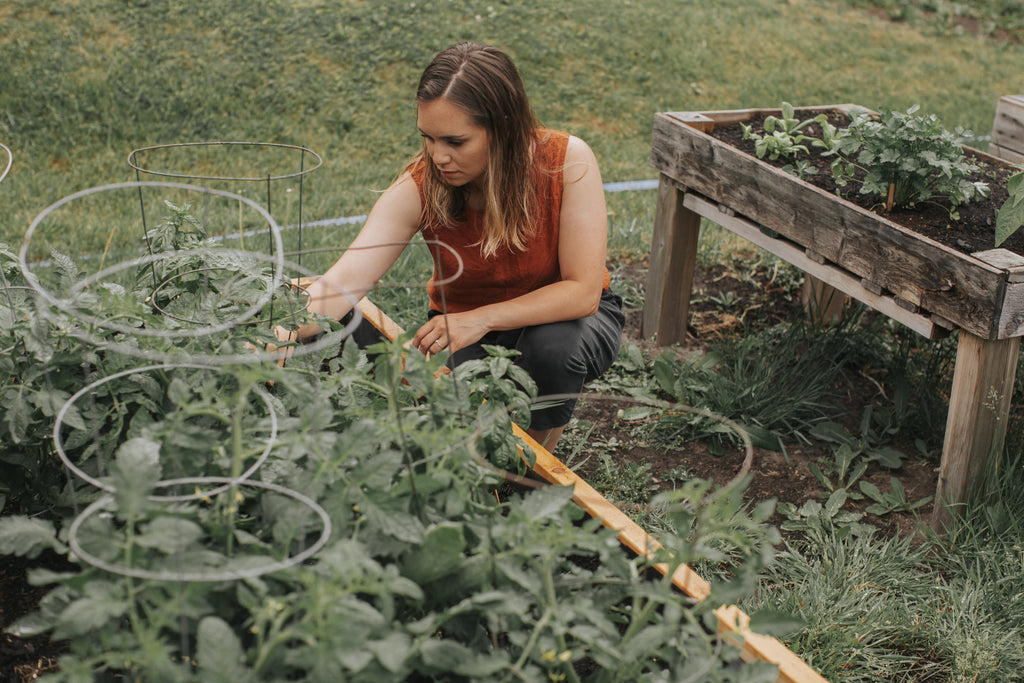 blogue jardin Dans le sac