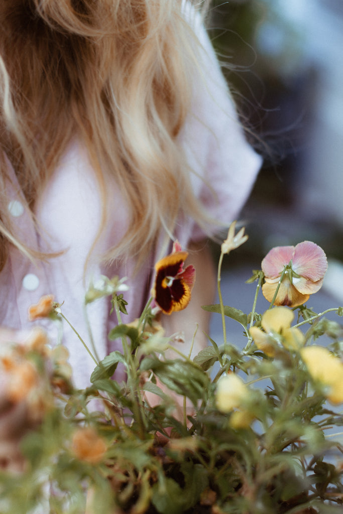 jardin- fleur - Dans le sac blogue