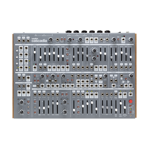 オリジナル Intellijel Designs Steppy 1U モジュラーシンセ DTM・DAW 