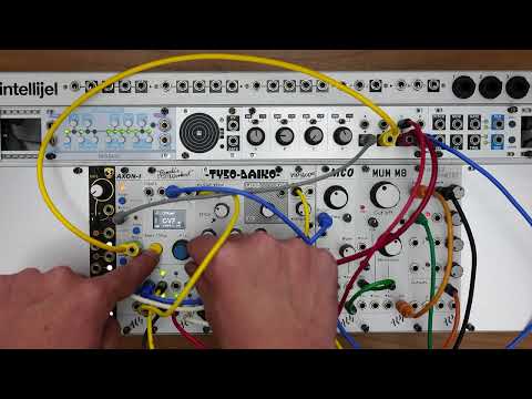 ALM Busy Pamela's Pro Workout — Clockface Modular