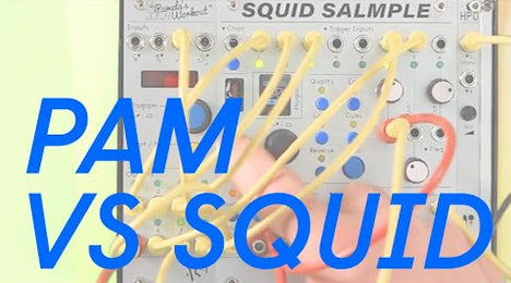 ALM Busy Squid Salmple— Clockface Modular