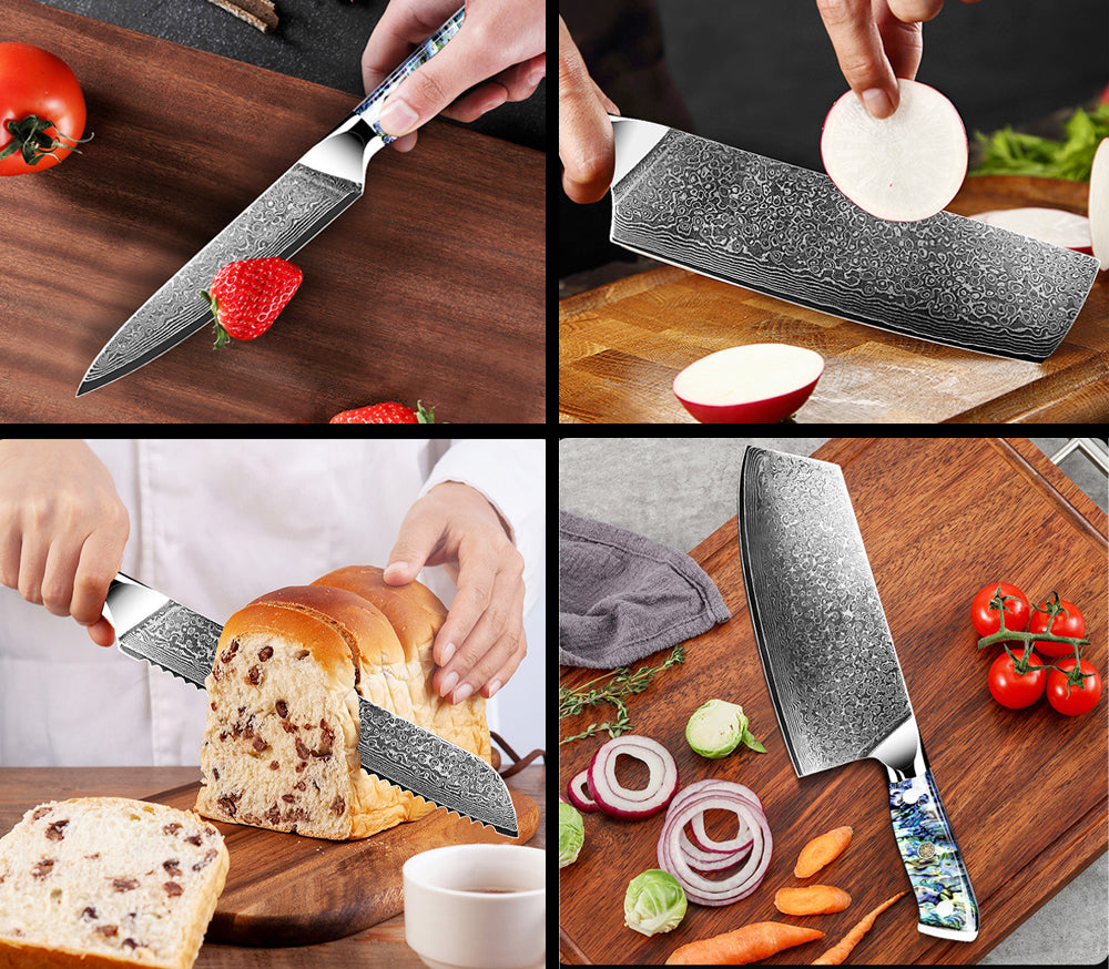 10 Piece Professional Damascus Kitchen Knife Set