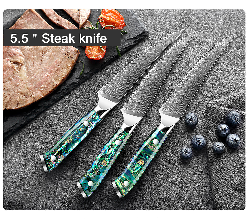 Sunnecko Damascus Steak Knives Set of 4 Serrated, Japanese VG10 Stainless  Steel Steak knives Dishwasher Safe, 5 Inch Steak Knives G10 Handle with  Gift