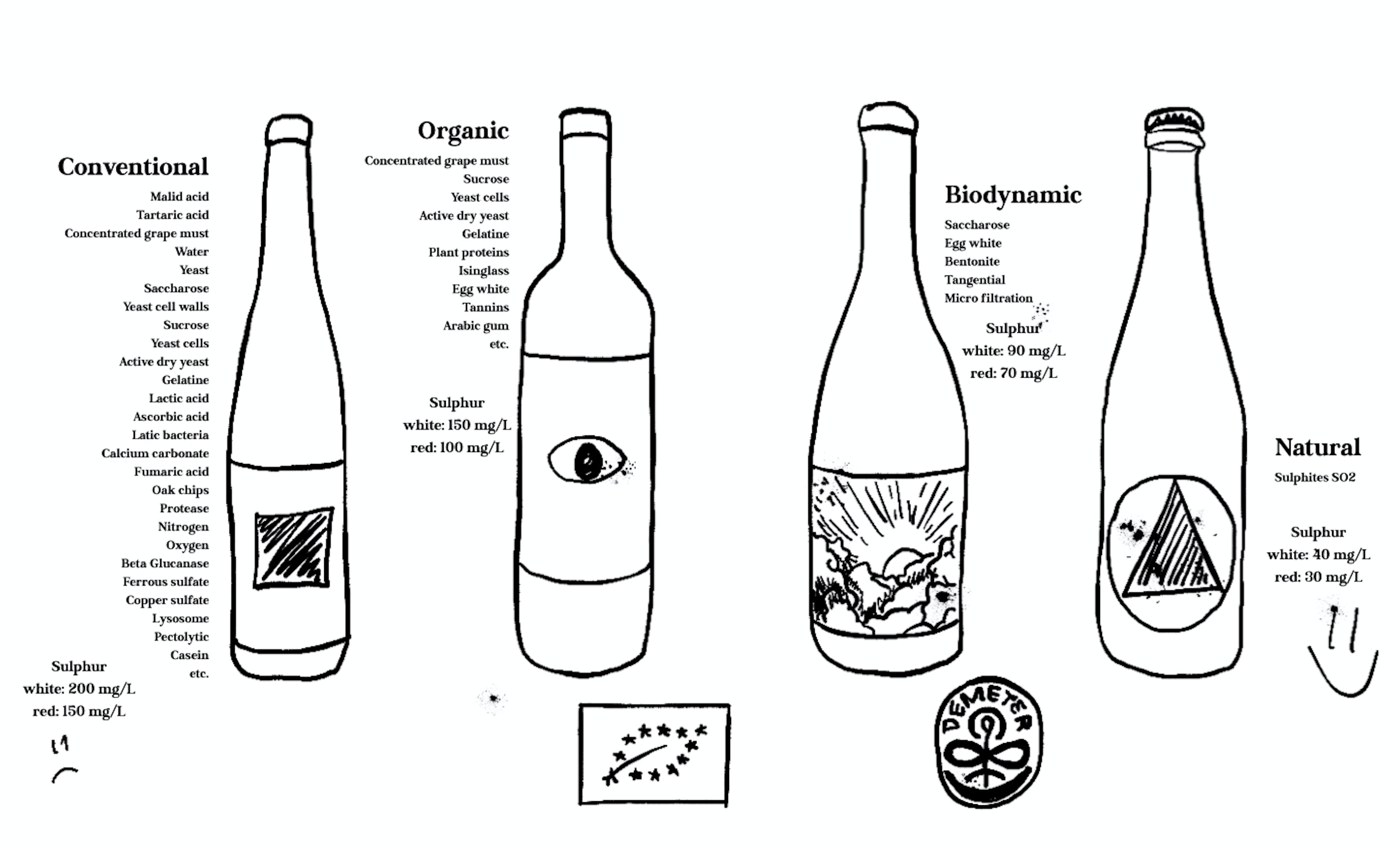 conventional vs organic, biodynamic and natural wine