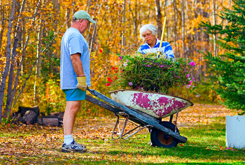 Senior couple with wheelbarrow doing yard cleanup