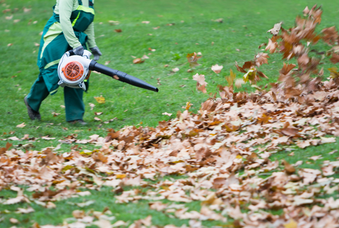 brown fallen leaves being blown by a person in green using a leaf blower