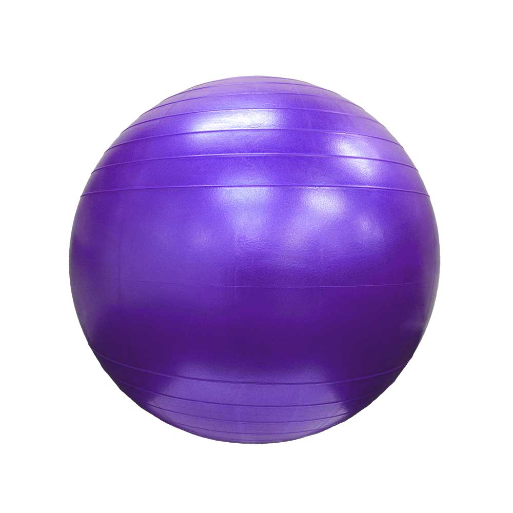 Swiss ball by TheraGear for our 4 legged friends