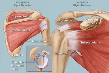 Rotator cuff tear symptoms, treatment, injury prevention