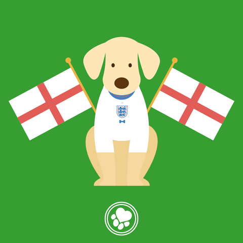England Dog