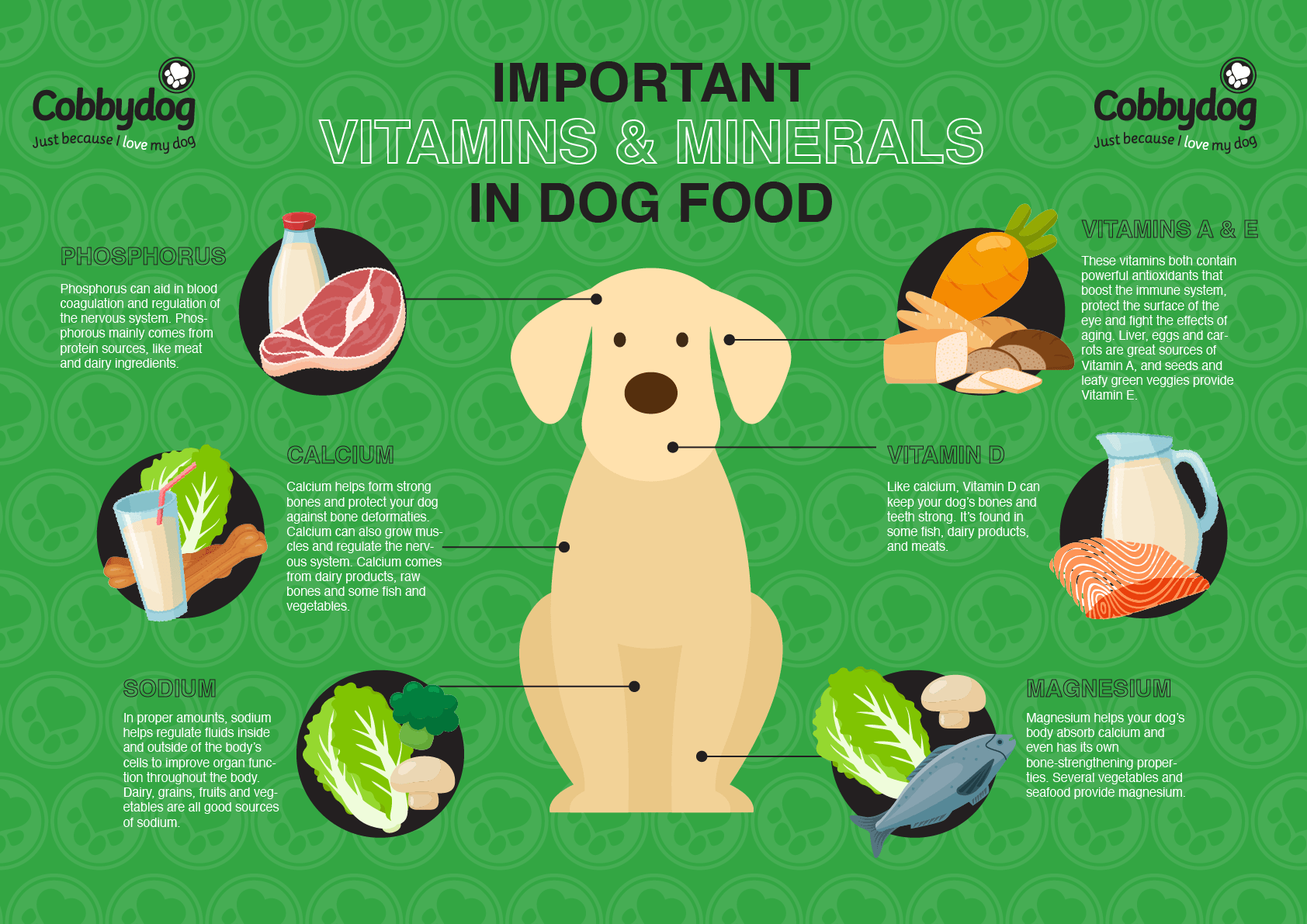 Diagram showing Important vitamins and minerals in dog food