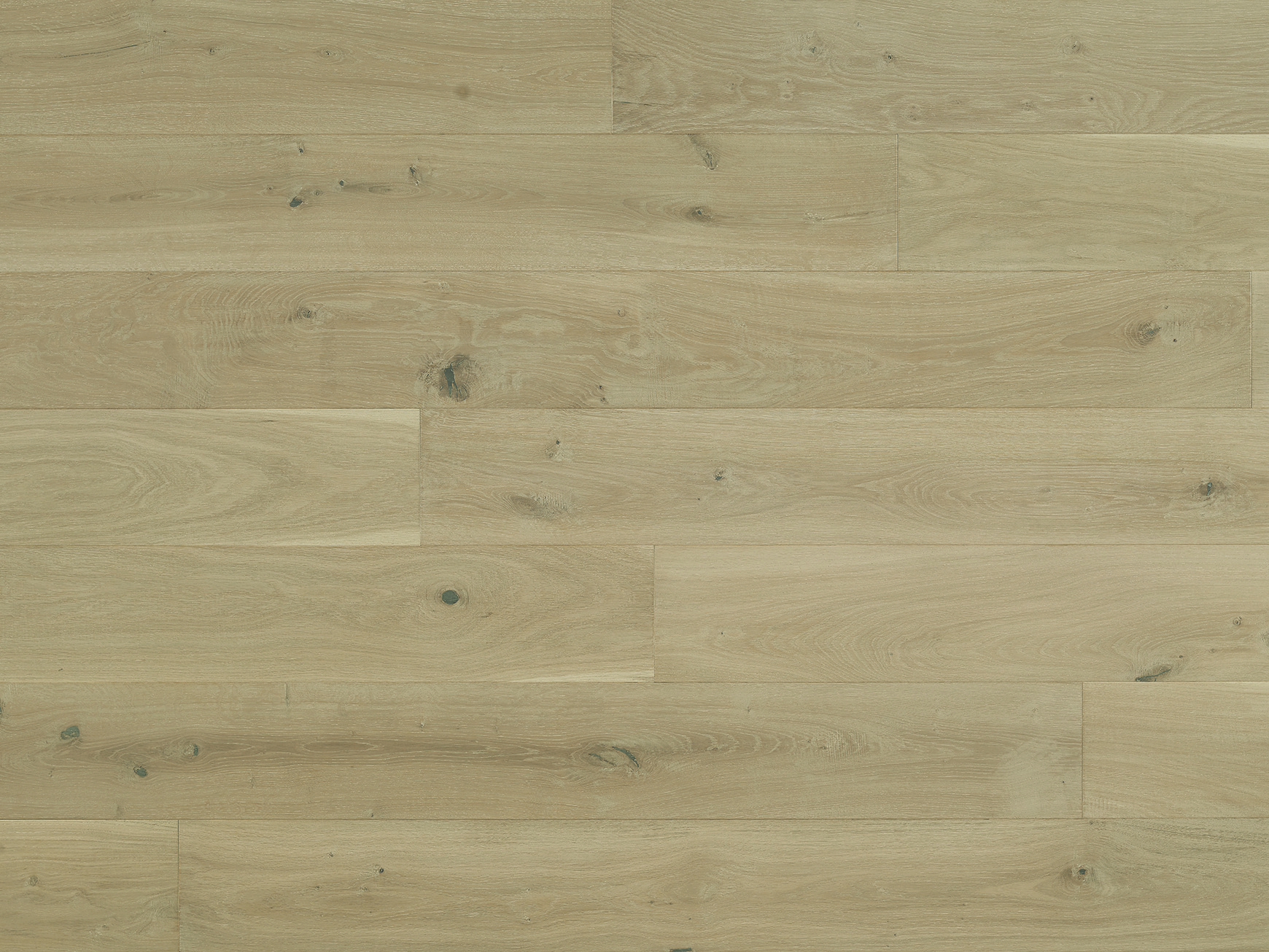 Costa Luna Wide Plank European Oak Hardwood Flooring Rewardflooring