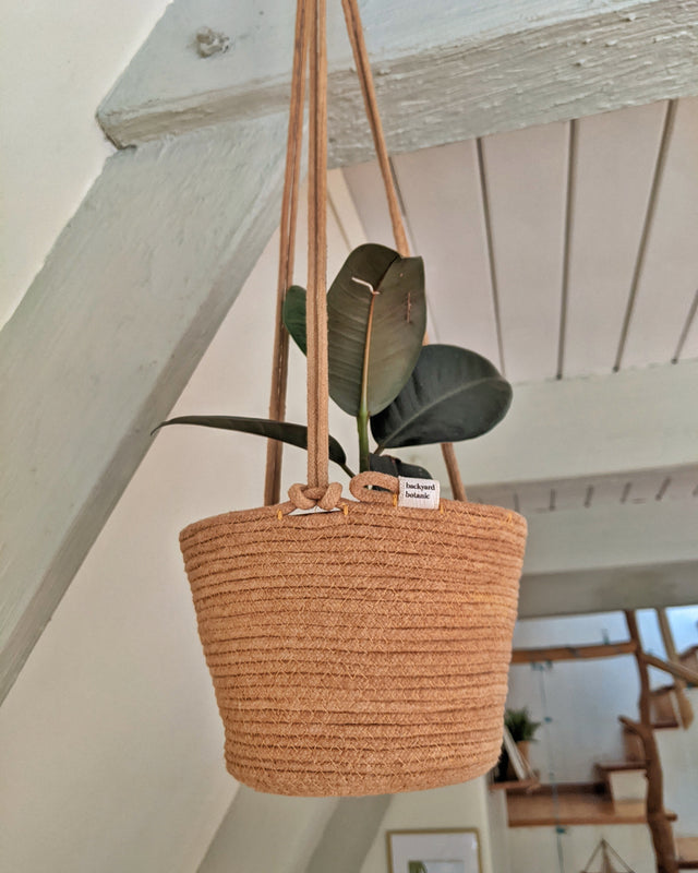 Picture of Rope Plant Hanger - Terracotta