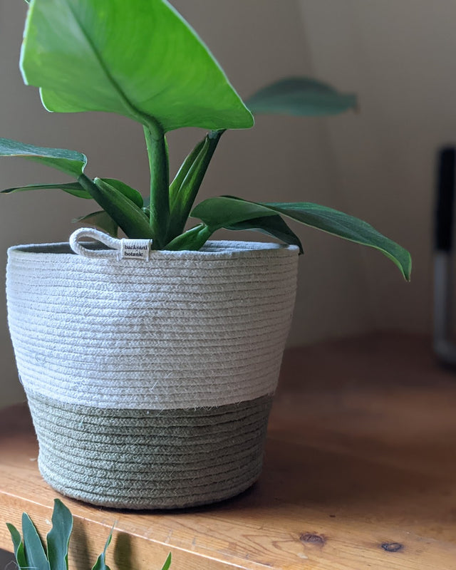 Picture of Natural + Olive Rope Planter / Bowl