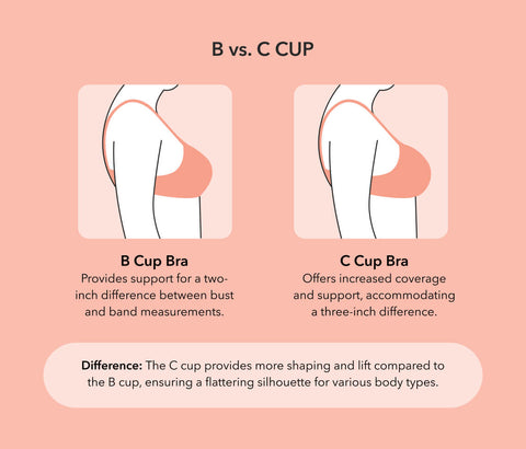 B vs. C Cup