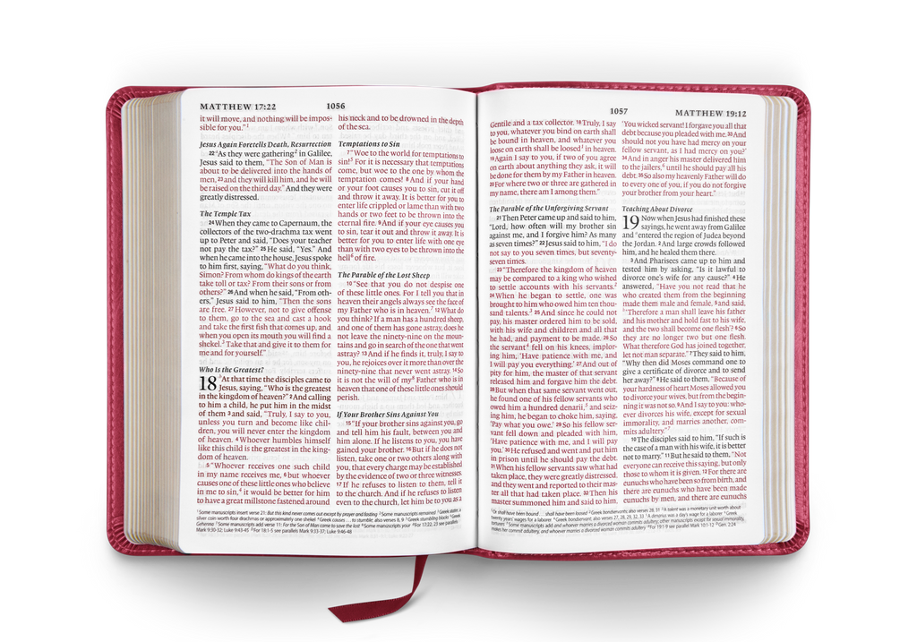 large-print-compact-bible-esv-trutone-berry-floral-design-esv-english