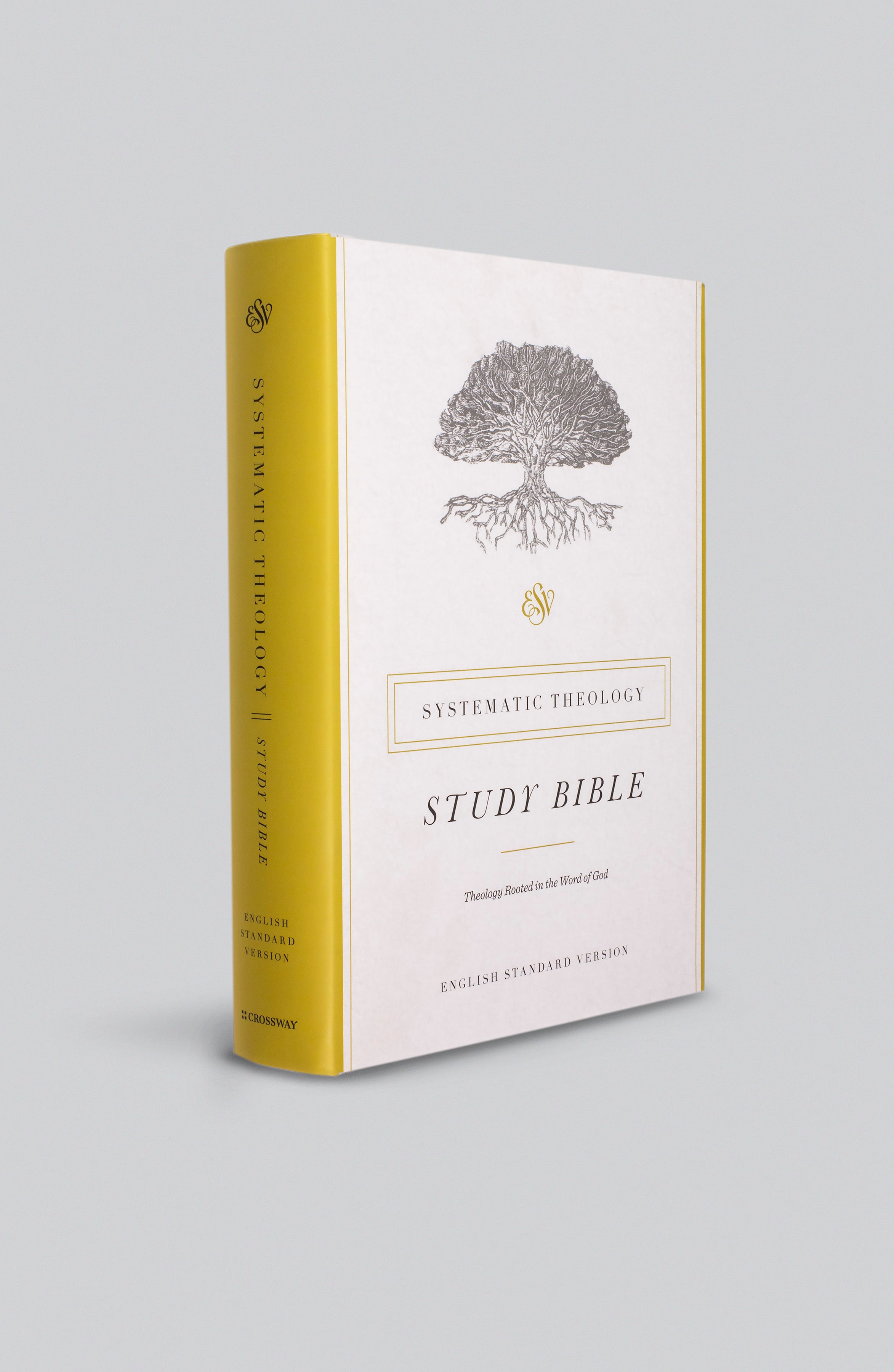 esv bible history