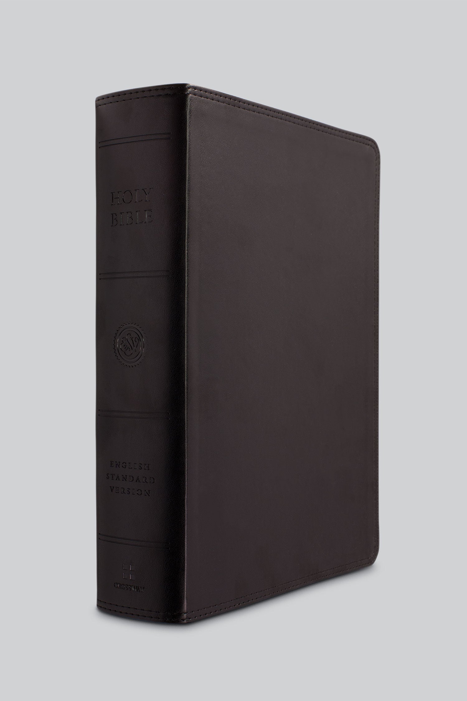 giant print esv bible